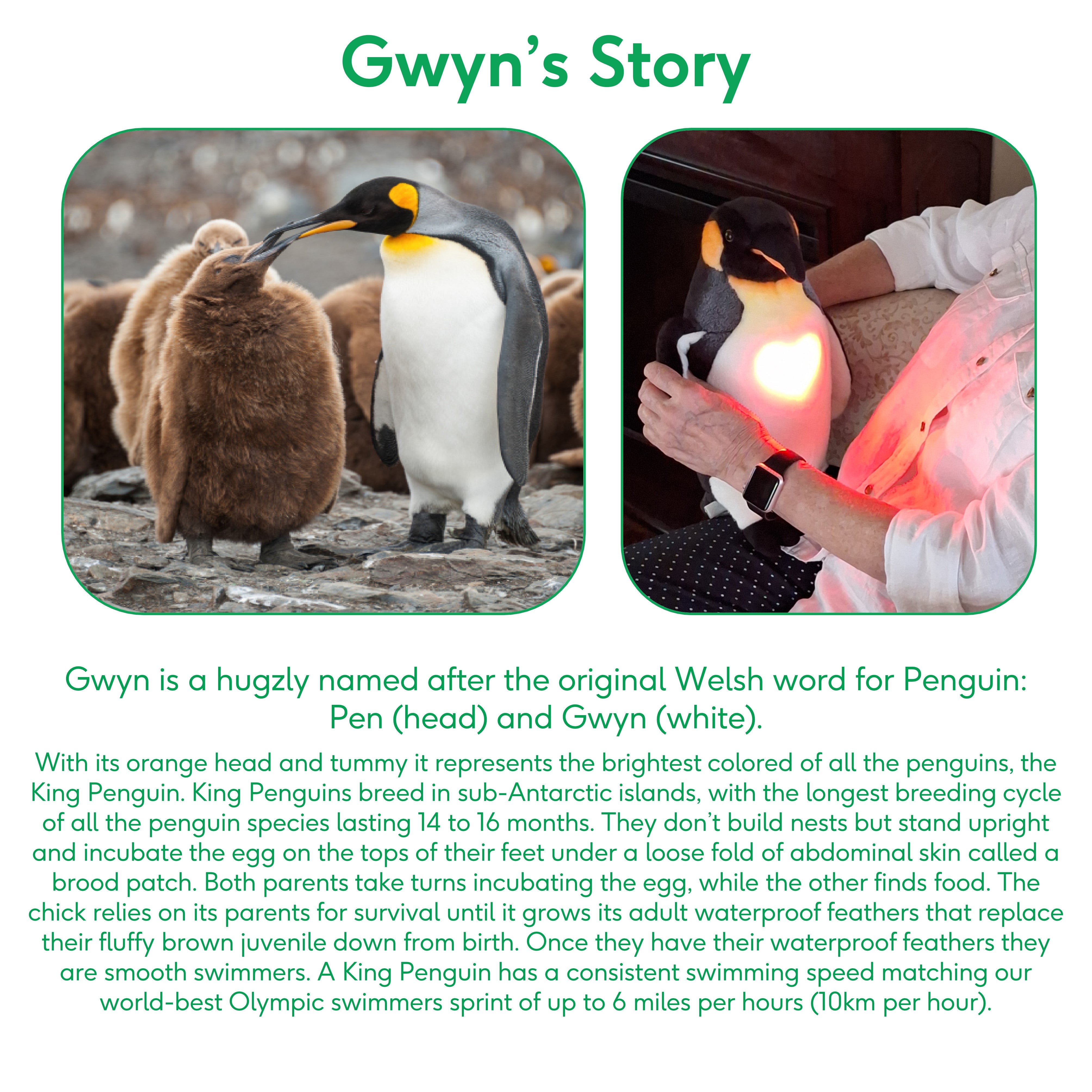 Gwyn the Penguin Generation 3